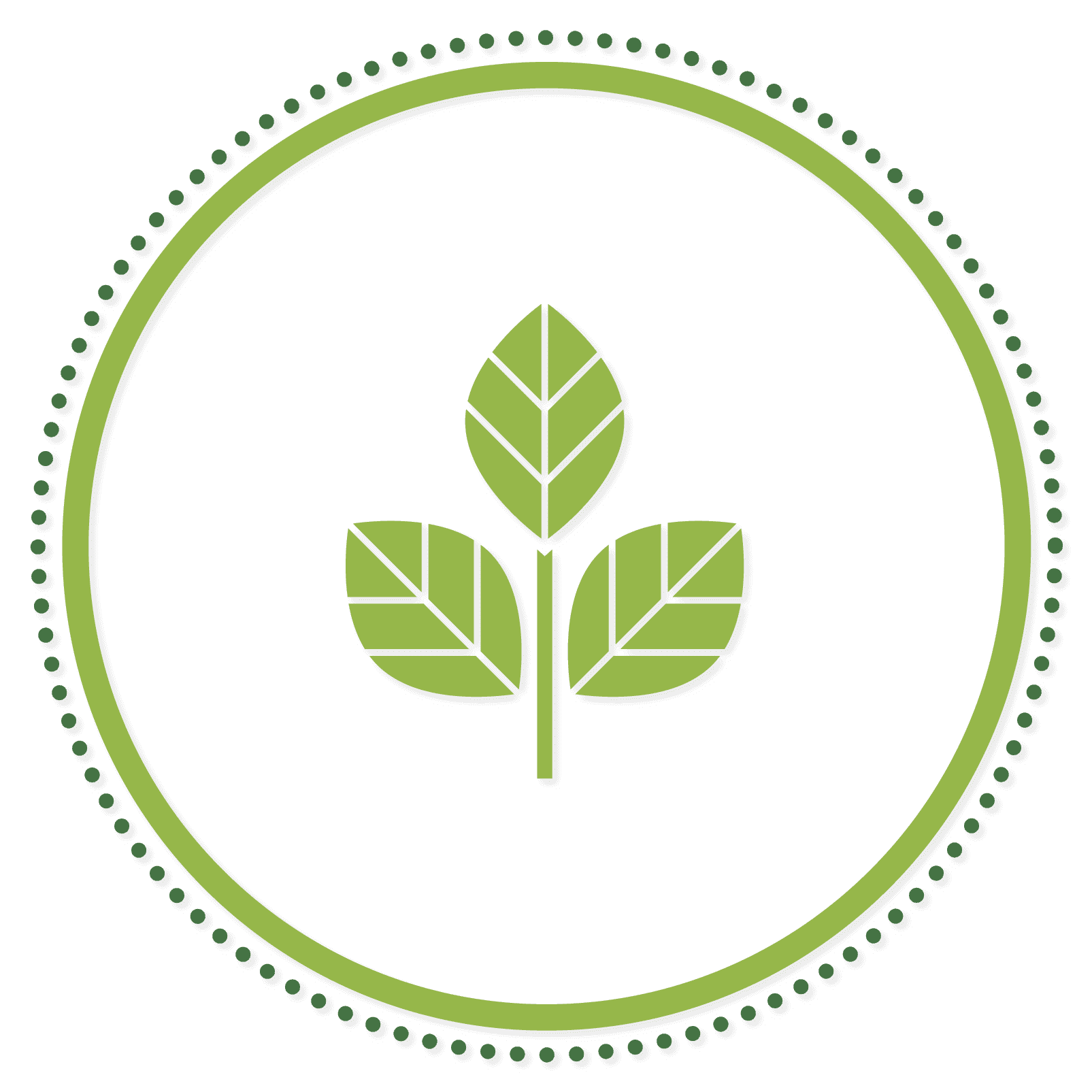 Fundo Vista Coyhaique