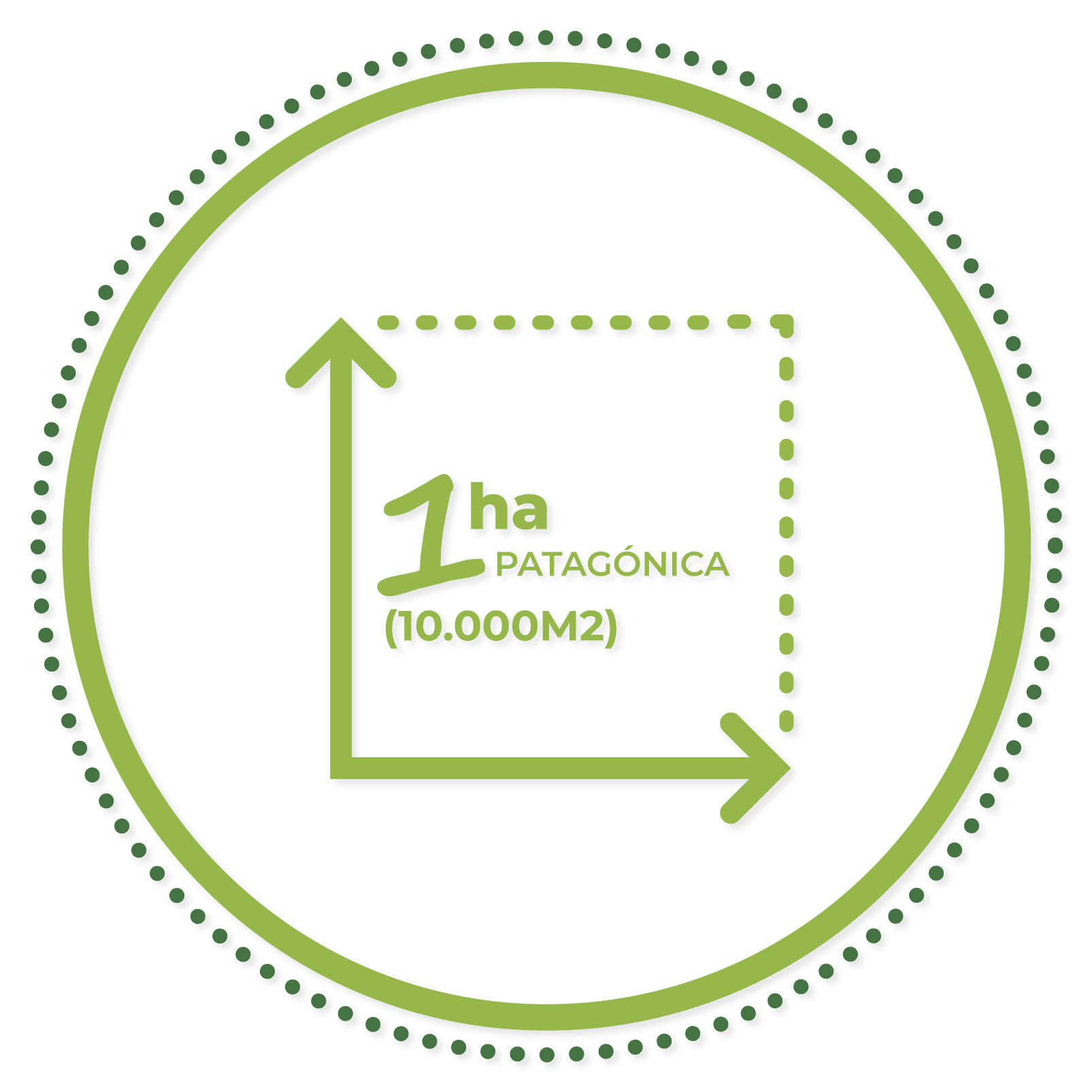 Fundo Vista Coyhaique